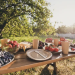 picknicktafel